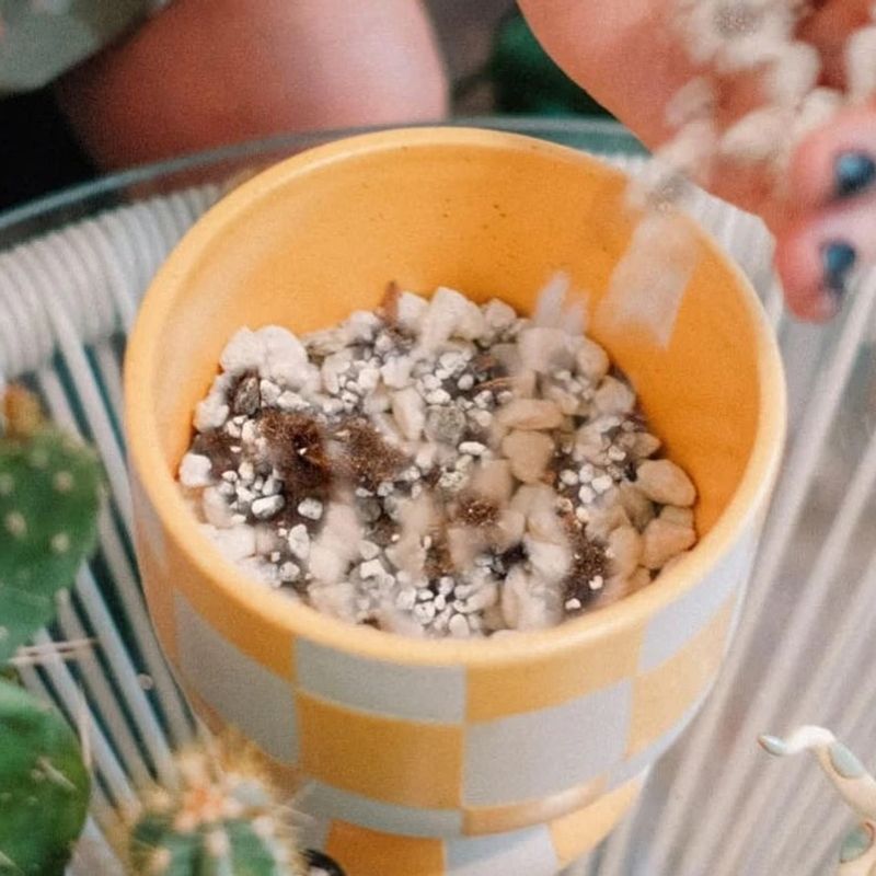 Use Premium Potting Mix