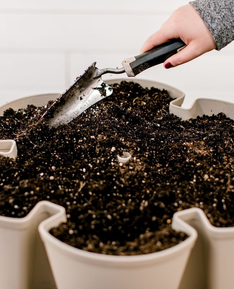 Use Quality Potting Mix