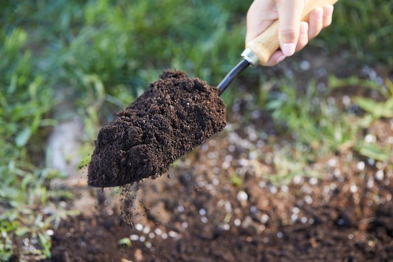 Prepare Nutrient-Rich Soil