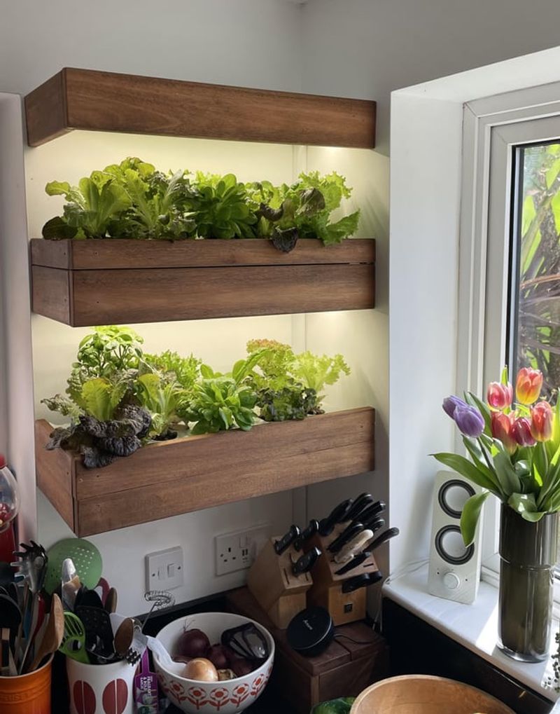 Floating Window Shelves