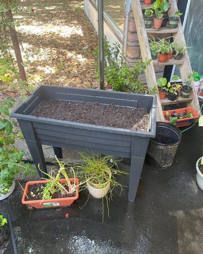 Cold Frame Lids