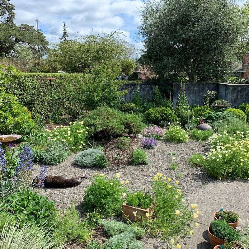 Gravel Garden Bed