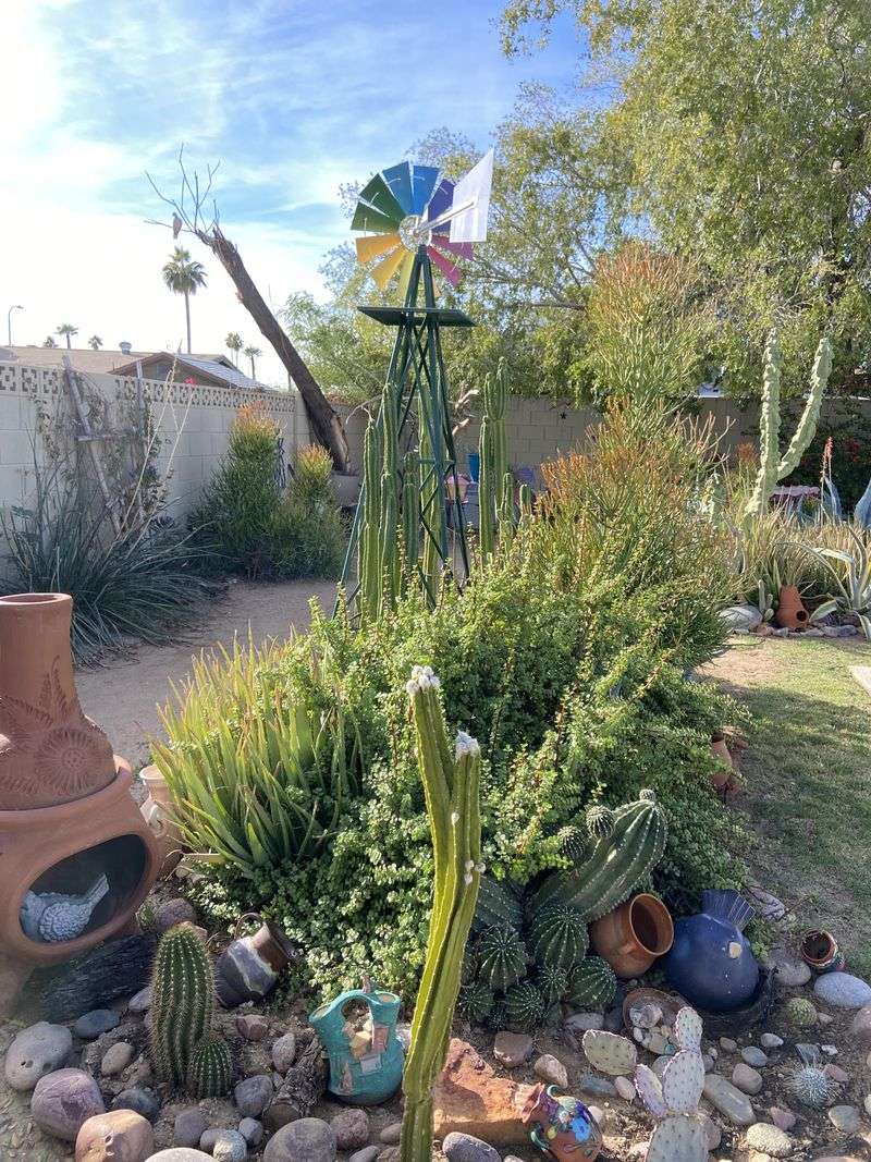 Desert-Smart Container Garden