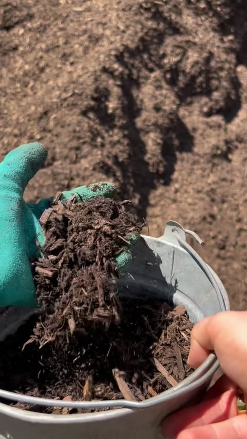 Ignoring Mulch as a Water-Saving Tool