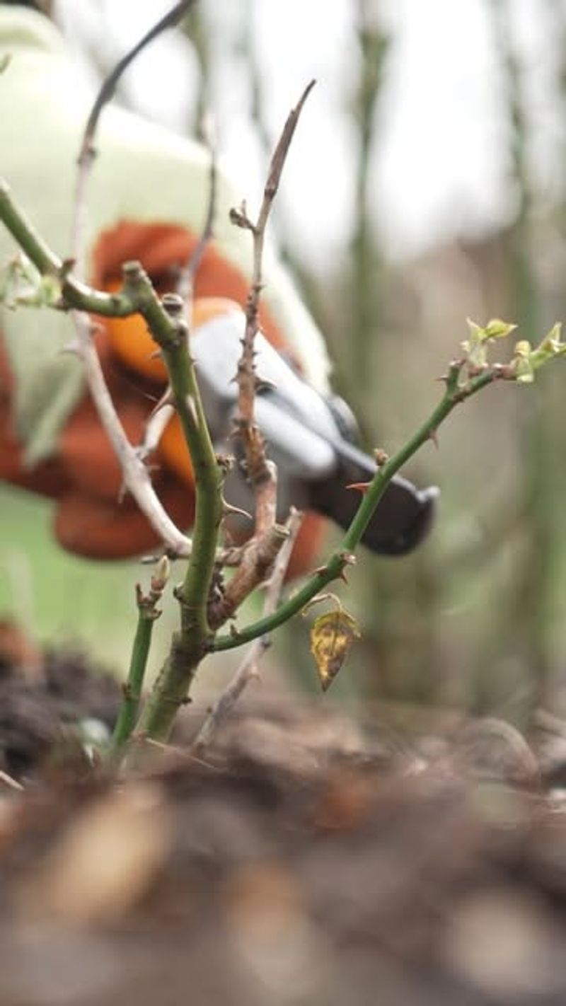 Neglecting Post-Pruning Care