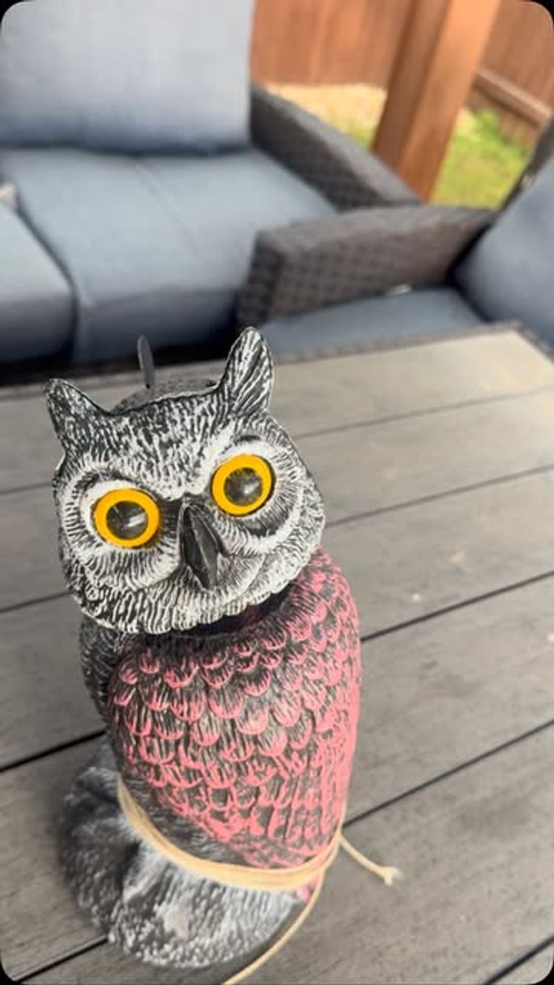 Fake Predators Keep Birds at Bay