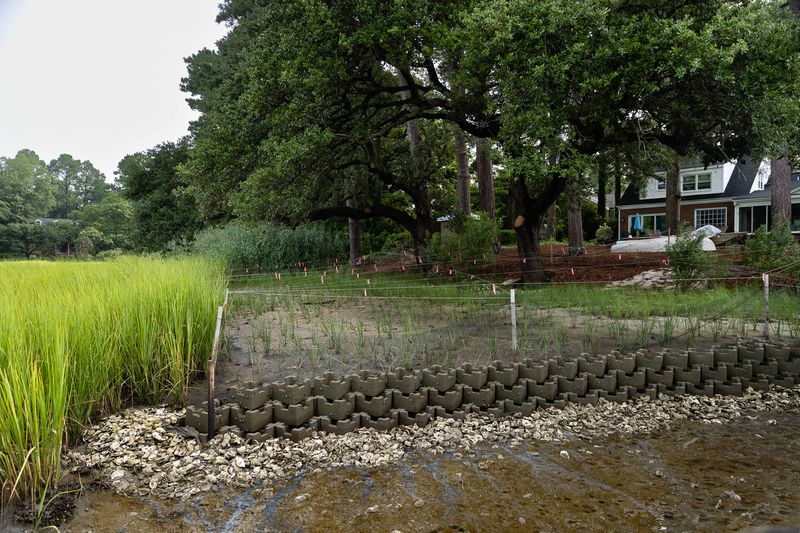Protected Wetland Boundaries
