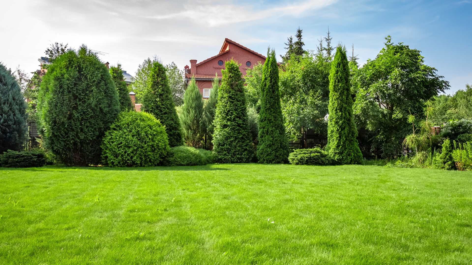 Signs Of Lawn Heat Stress In Florida (And How To Fix It)