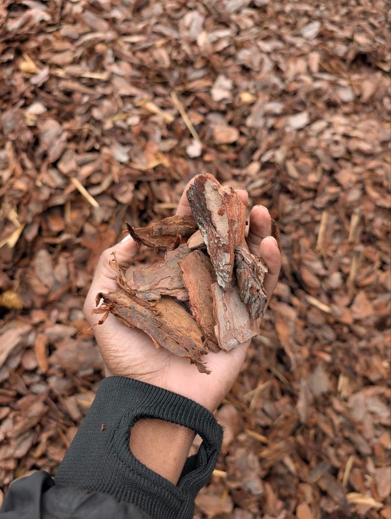 Chunky Mulch Application