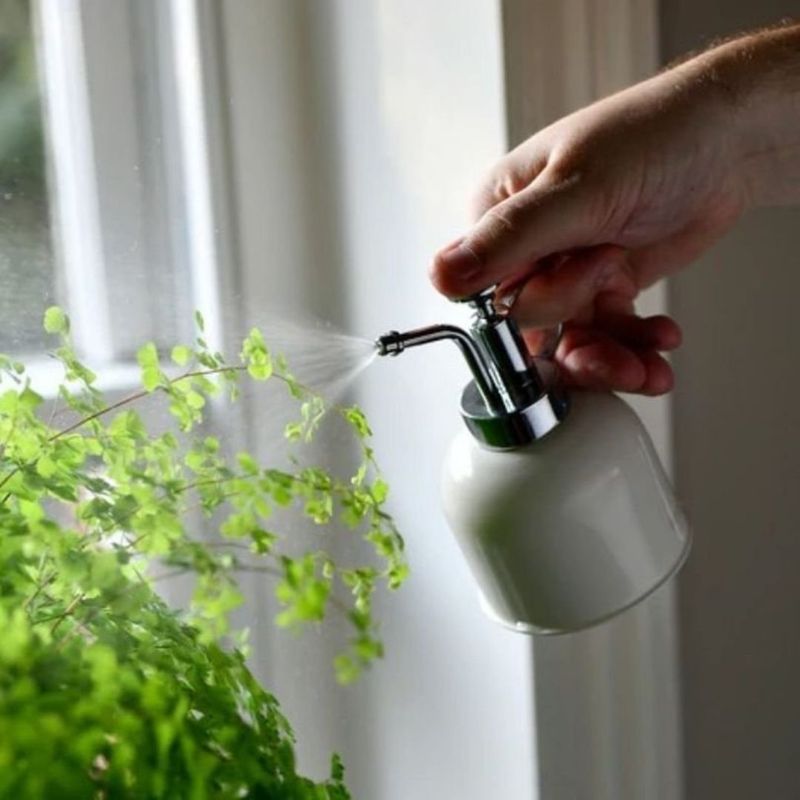 Water the Air Around Plants