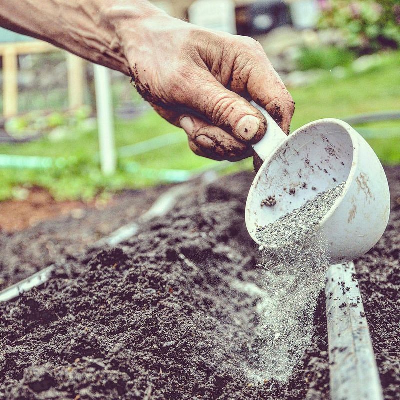 Fertilizing During Heat Waves