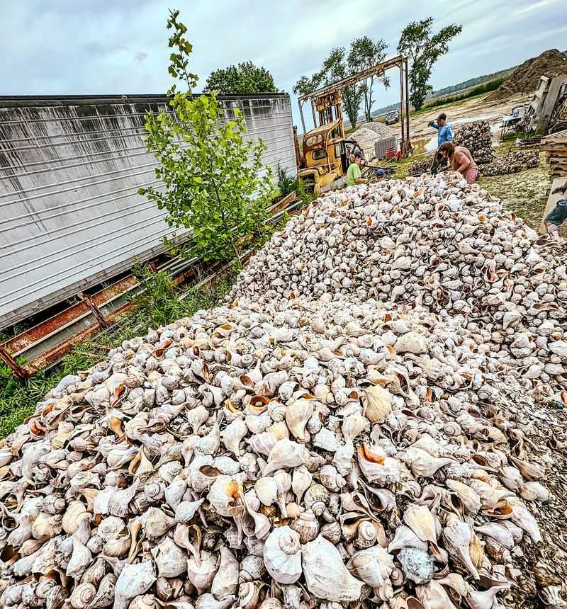 Jersey Shore Gravel