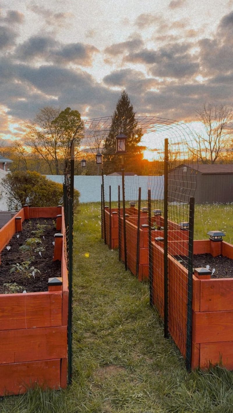 Choosing The Right Fertilizer