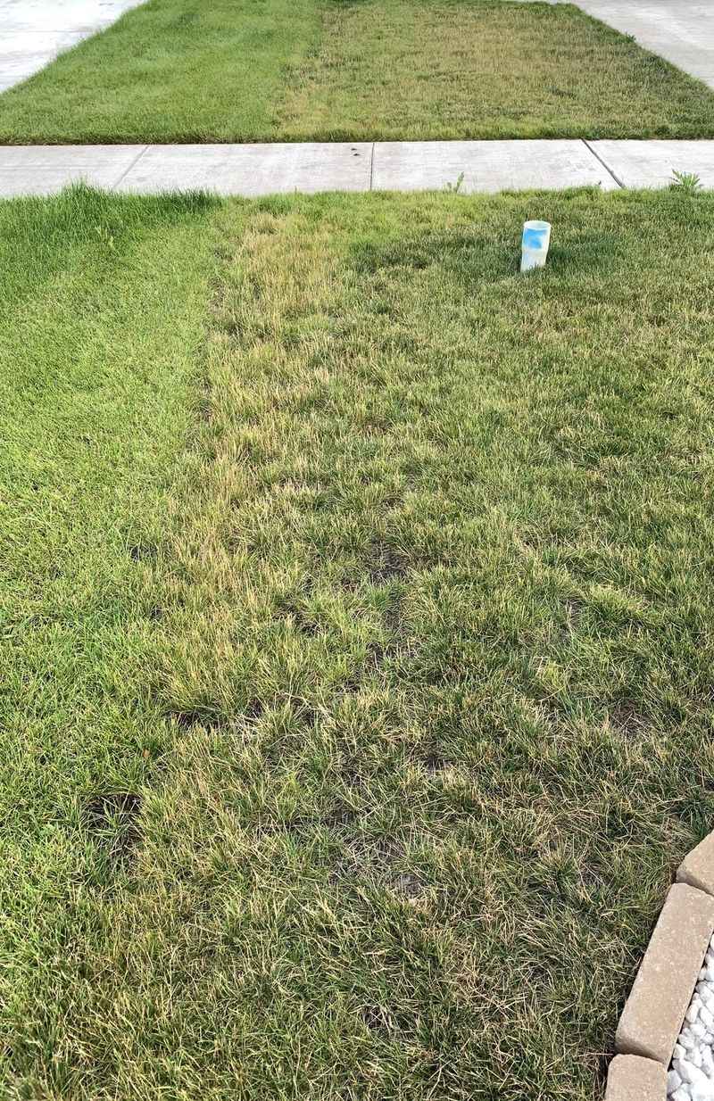 Soil Temperature Above 85°F