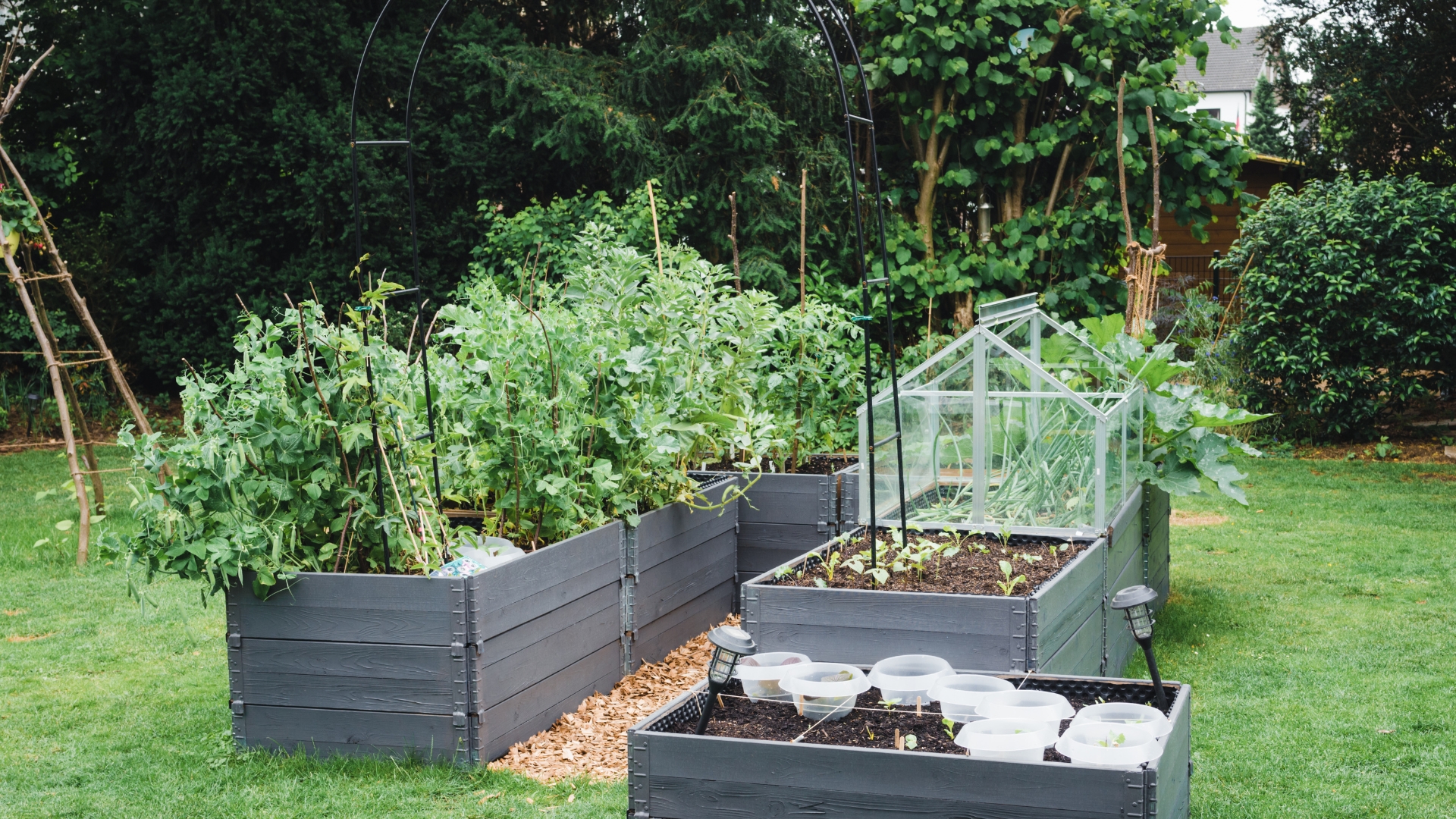 Smart Ways Michigan Gardeners Protect Raised Beds In August