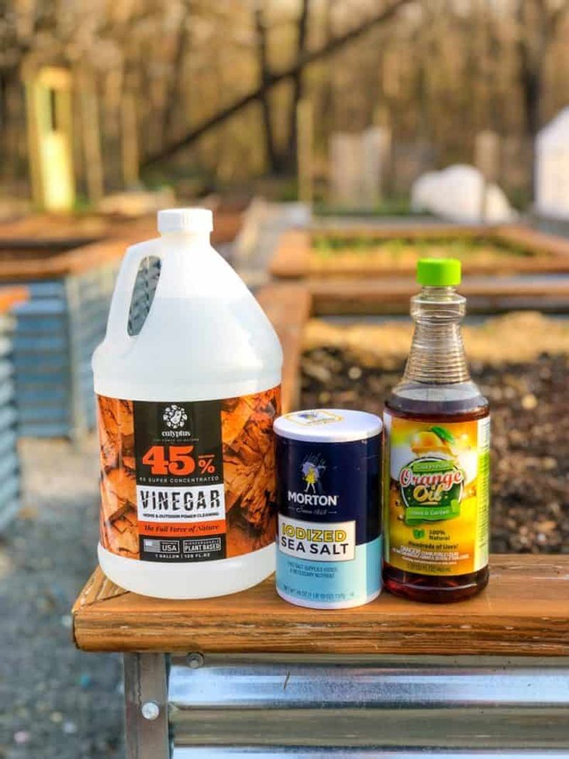 Use Vinegar Solution