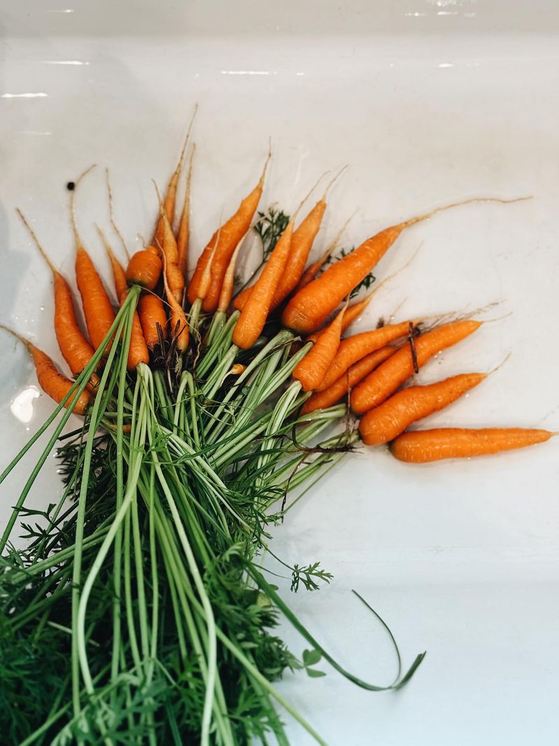 Tender Baby Carrots