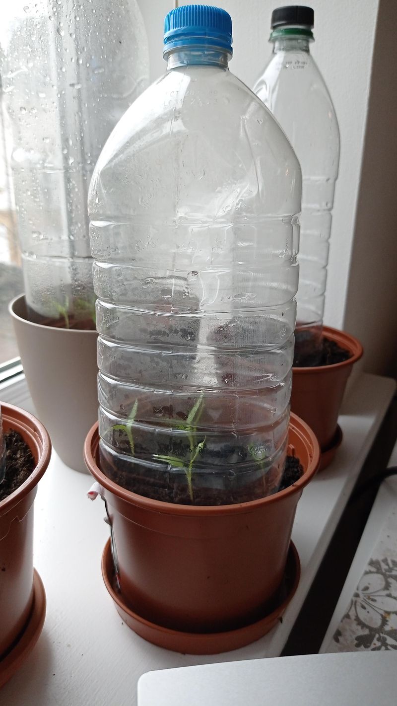 Bottle Greenhouse Vents