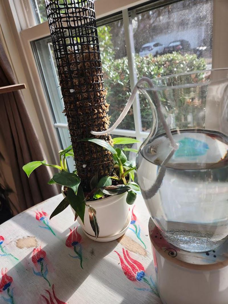 Mason Jar Dripper Stakes