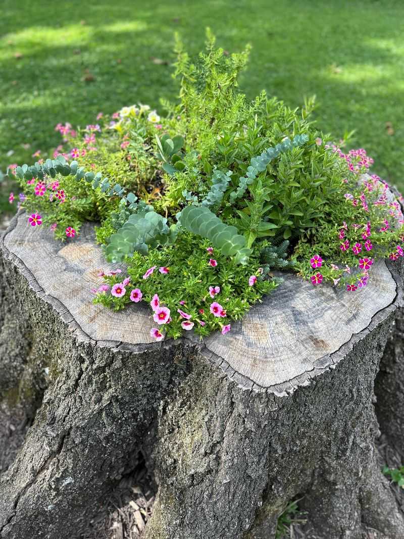 Eco-Friendly Recycling