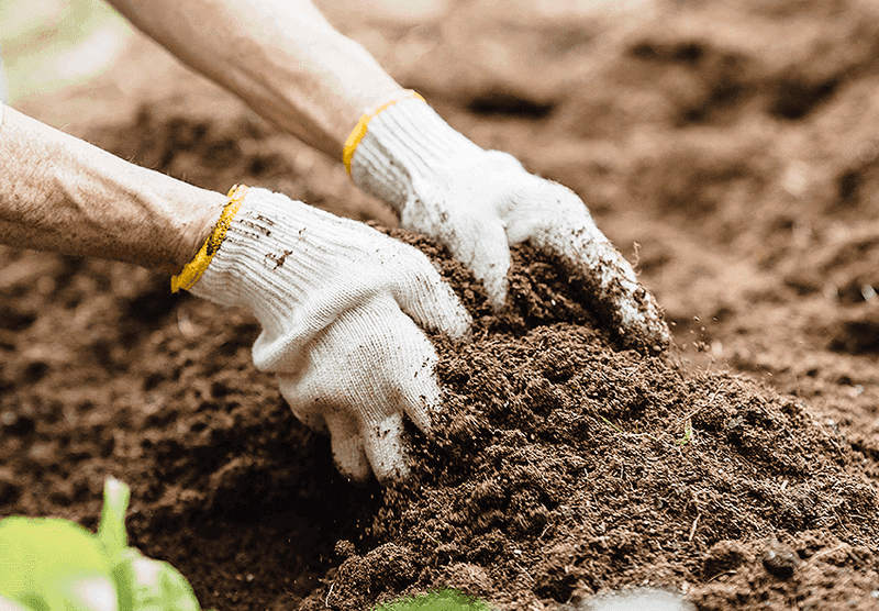 Enrich The Soil Before Planting