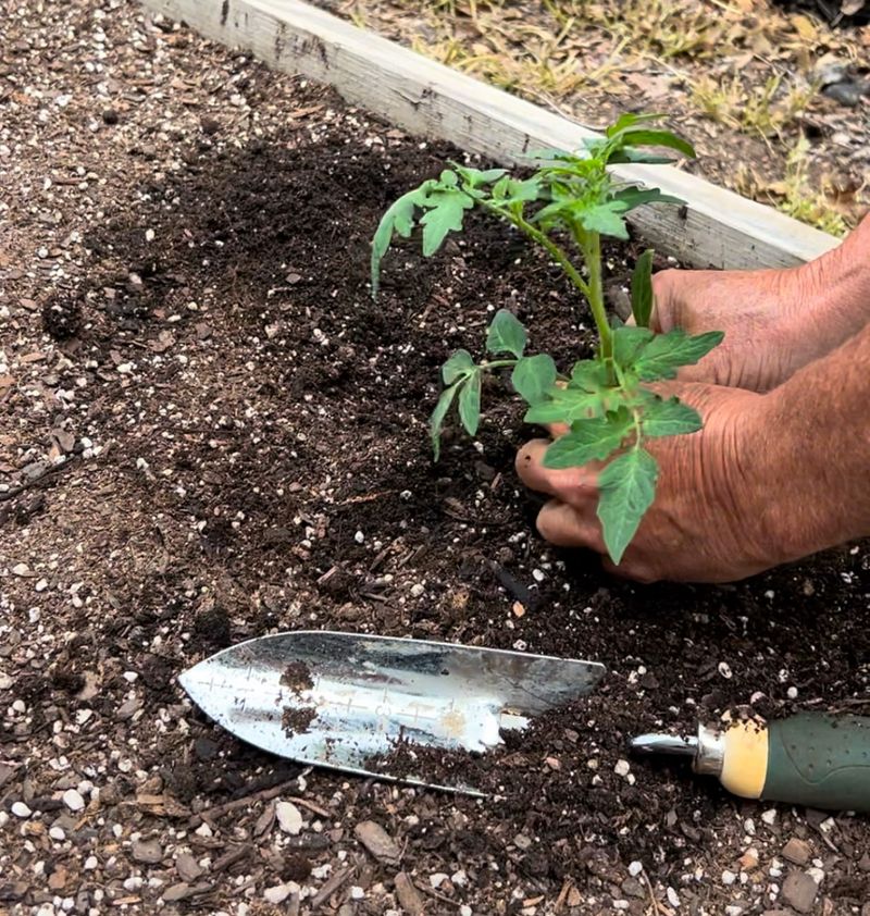 Enrich Soil With Compost
