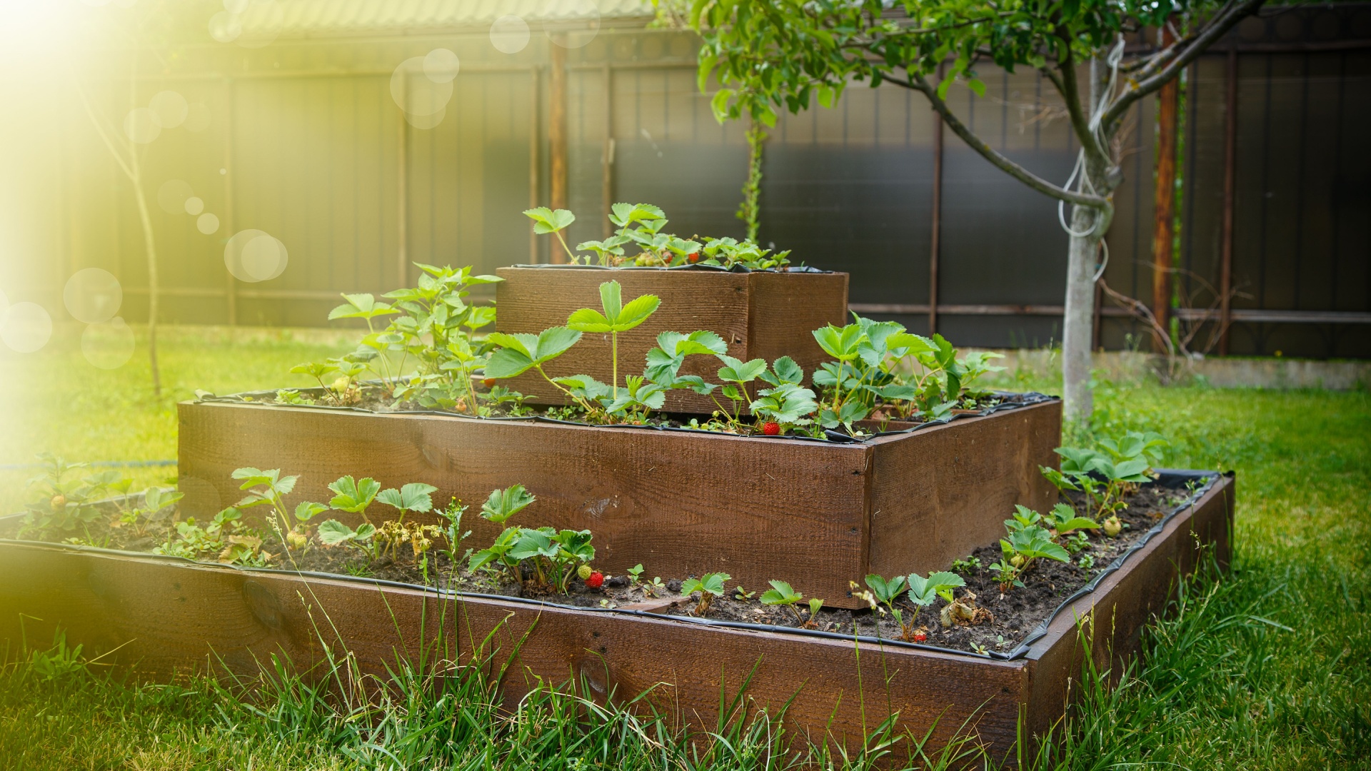 Space-Saving Garden Ideas For Tiny Lawns In Rhode Island