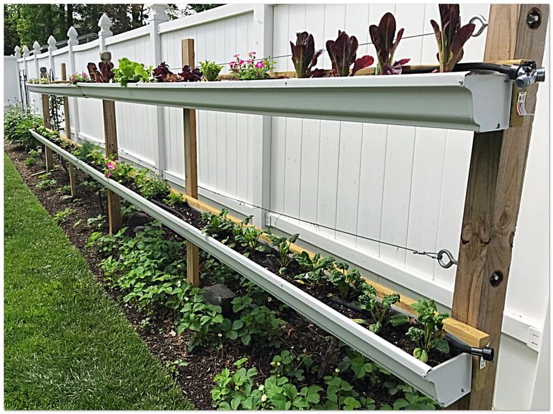 Vertical Herb Gardens Using Rain Gutters