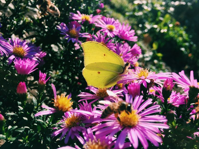 Spiritual Connection With Natural Cycles