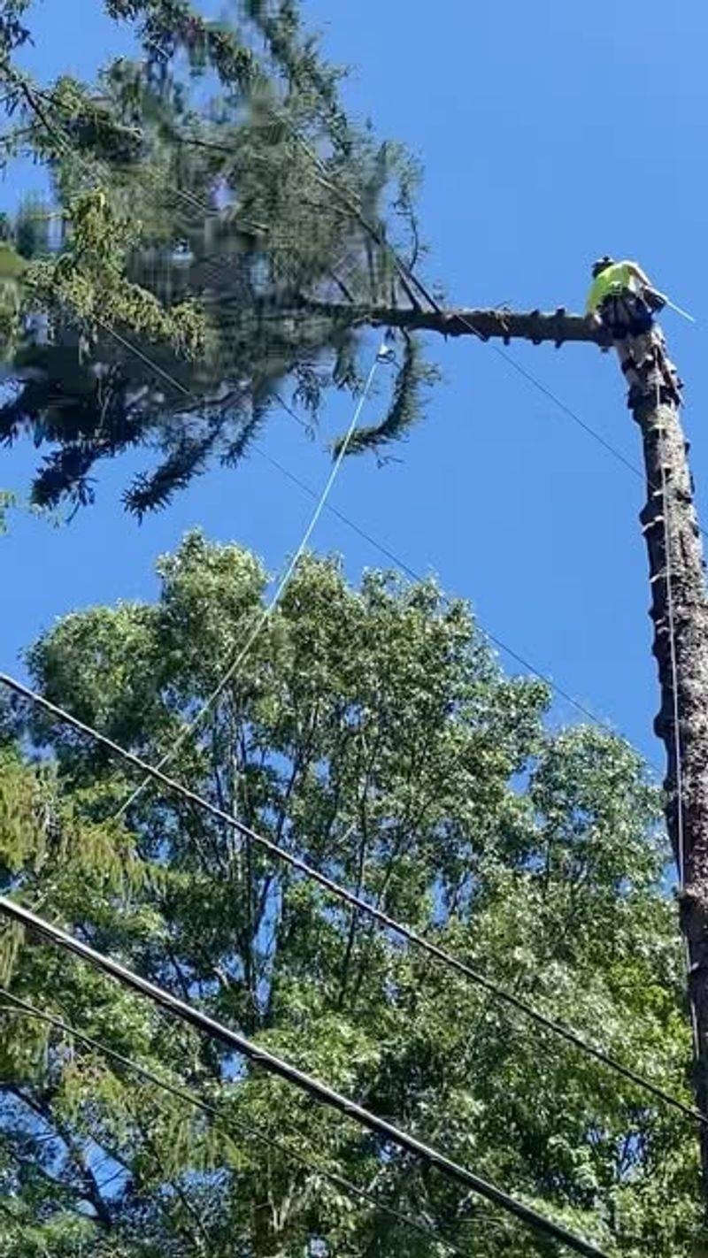 Power Line Contact