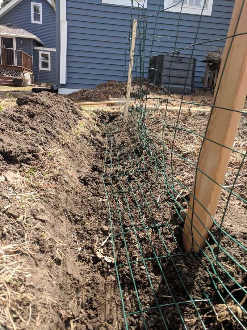 Create Chicken Wire Underground Barriers