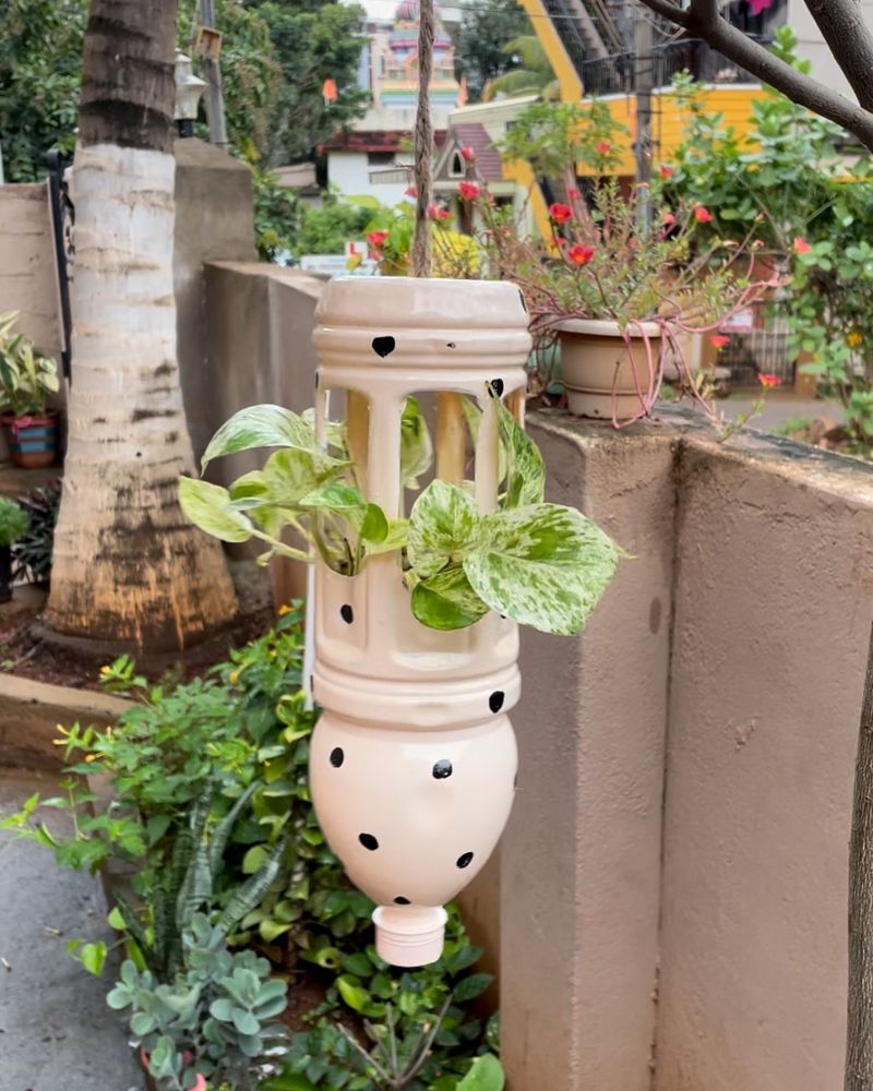 Hanging Bottle Garden