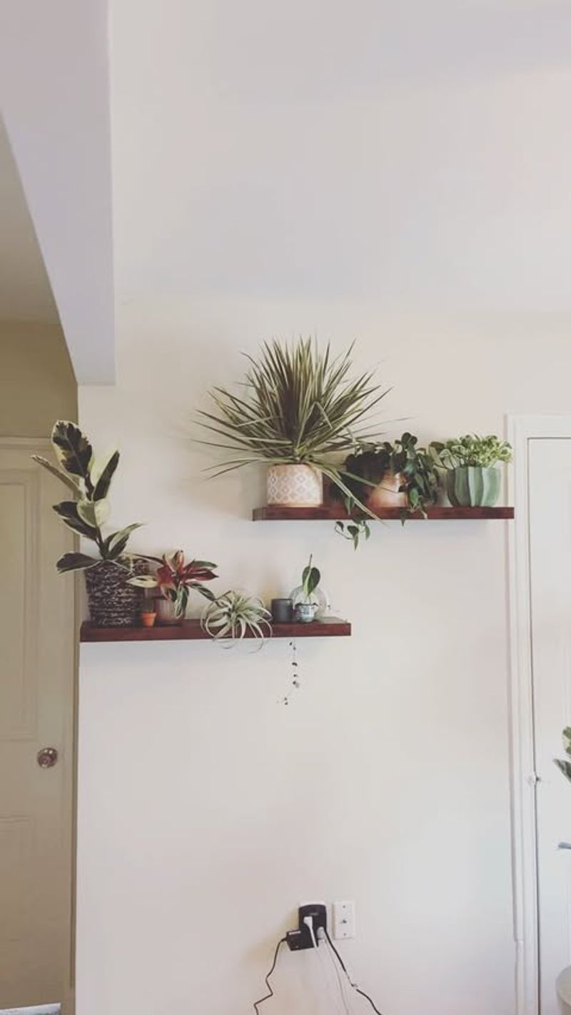 Floating Shelf Garden