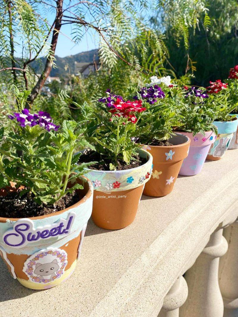 Painted Terra Cotta Pots