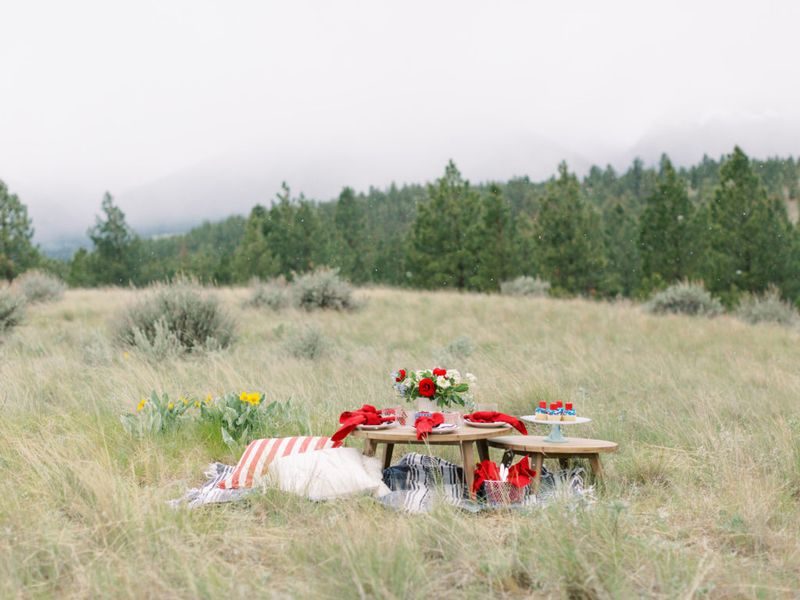 Patriotic Picnic Blanket Zone