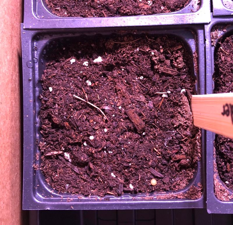 Use The Right Soil Mix