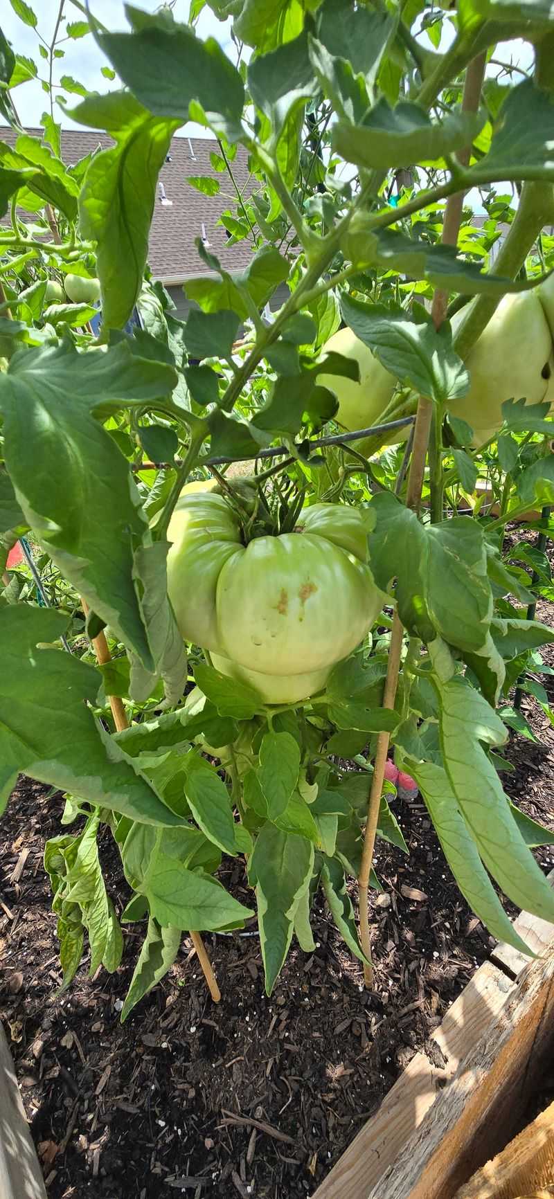 Know Your Growing Zone
