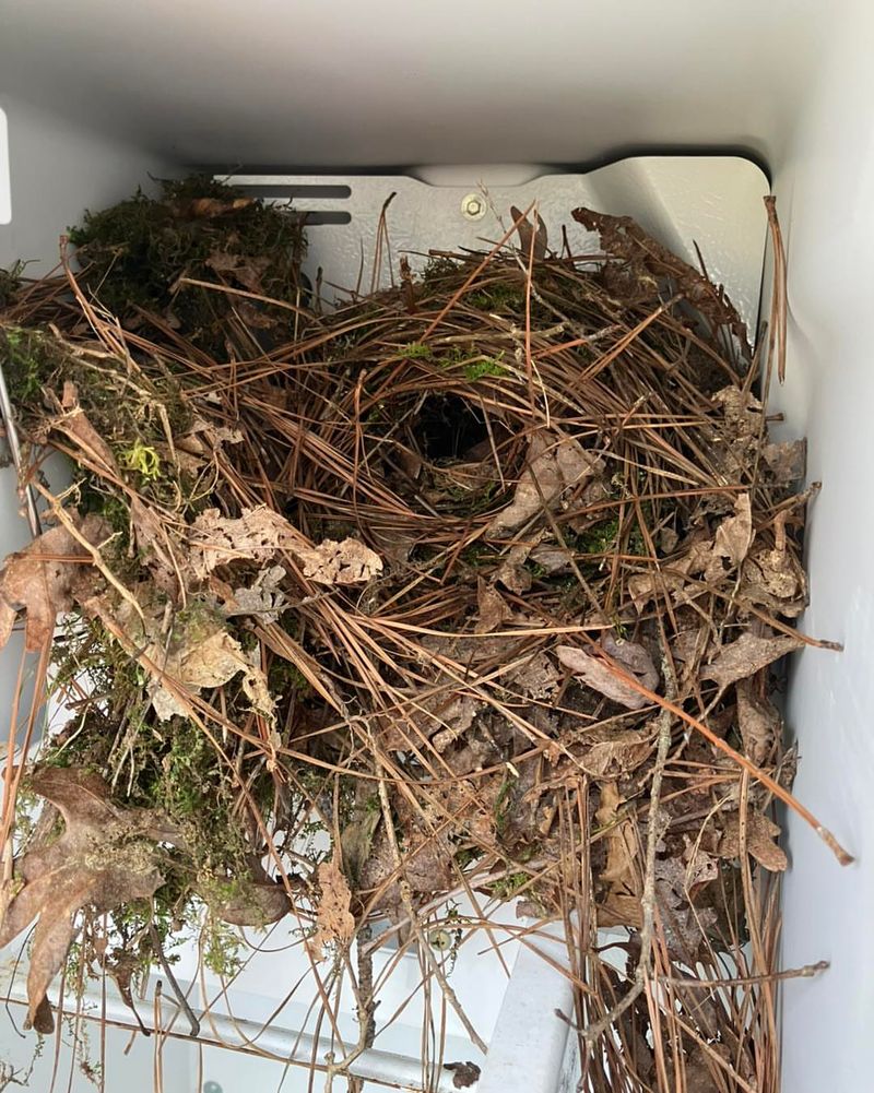 Nesting Materials Near Entrances