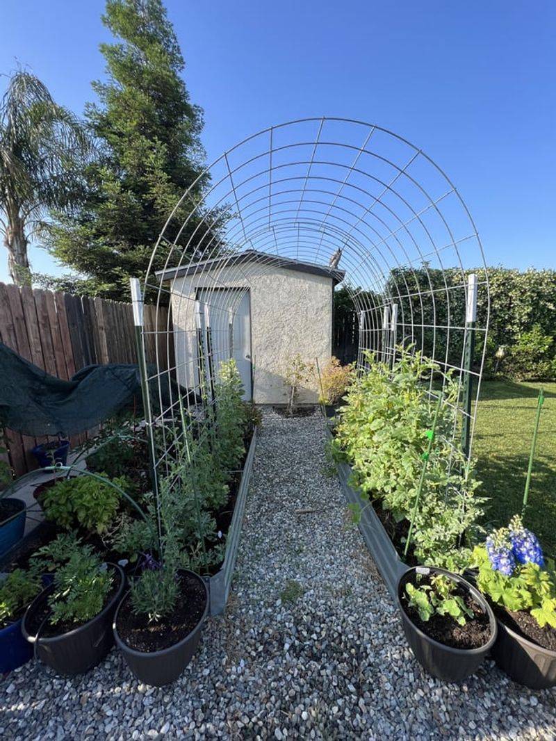 Cattle Panel Arched Greenhouse