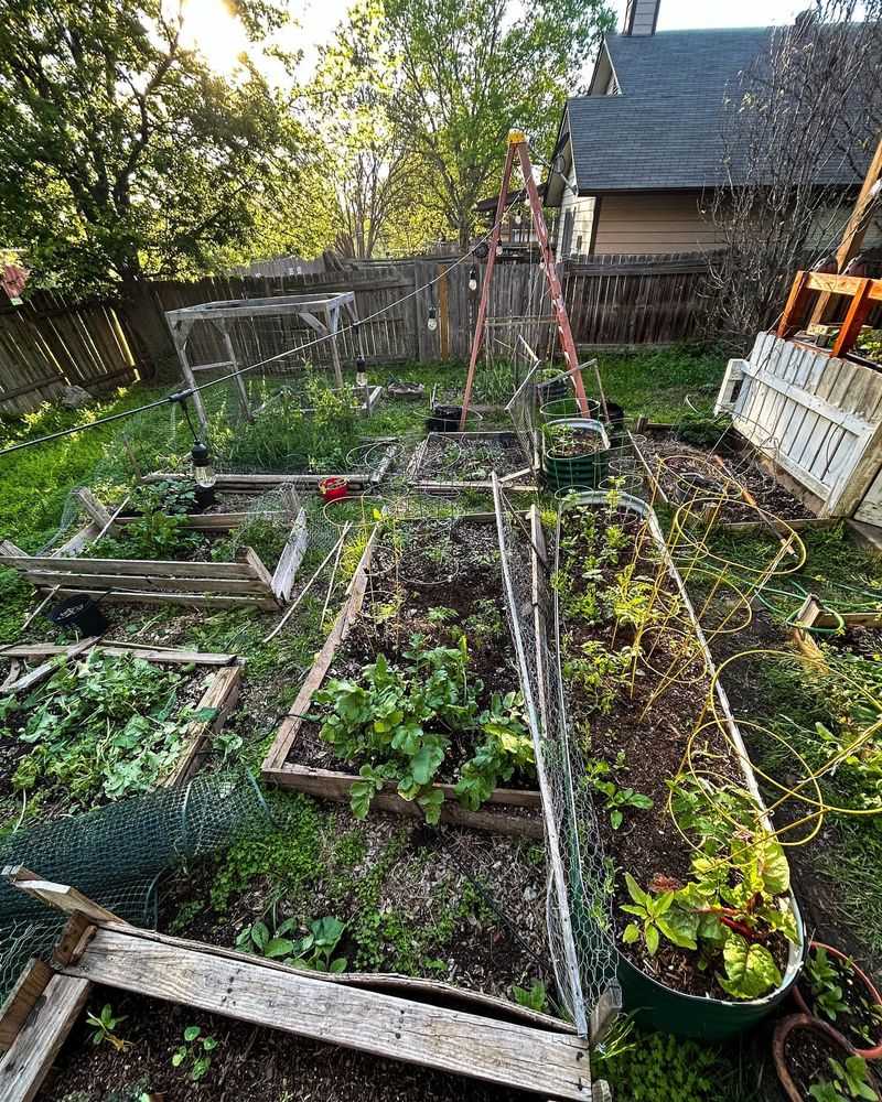 Log-Framed Beds