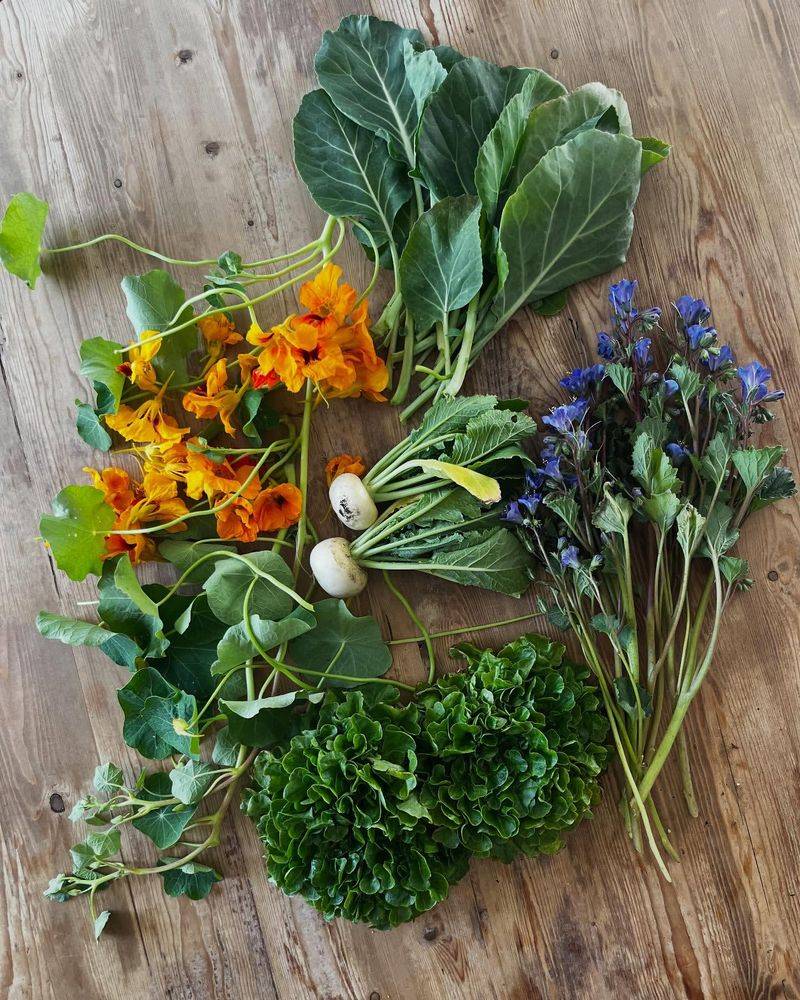 Nutritional Bounty from Your Backyard