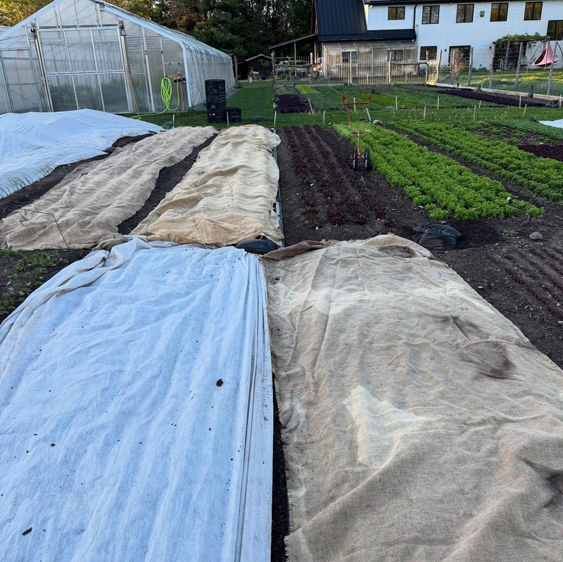 Moisture Retention in Dry Soil