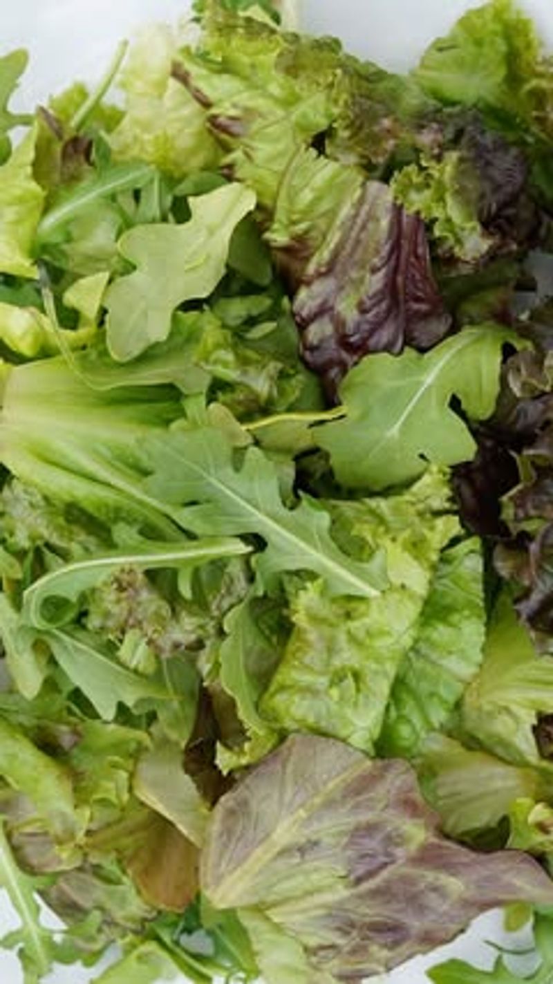 Lettuce: Endless Salads in Weeks