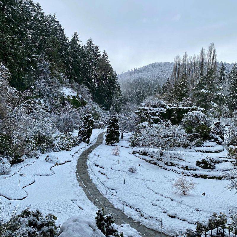 Winter Garden's Unexpected Beauty
