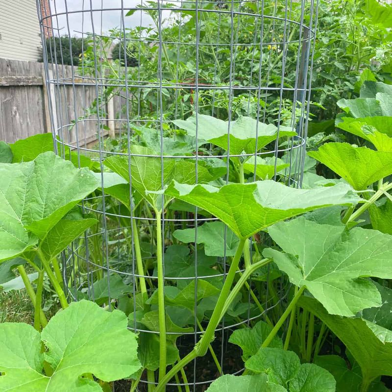 Pumpkins - Sprawling Space Invaders