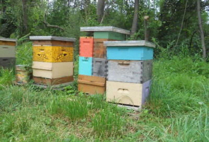Beehives
