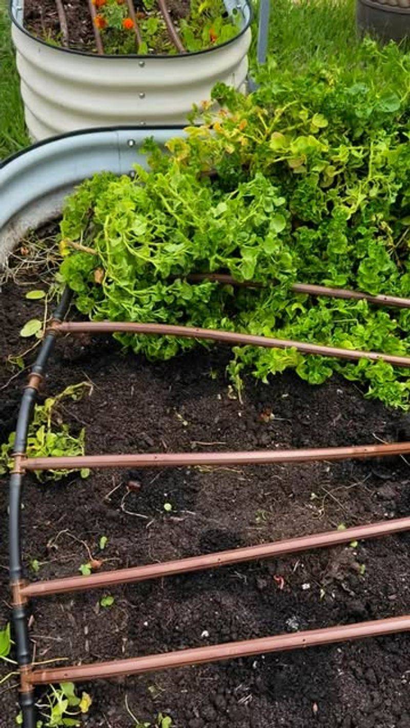 Install Micro-Irrigation Systems