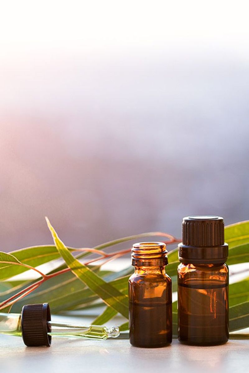 Eucalyptus Oil's Potent Punch