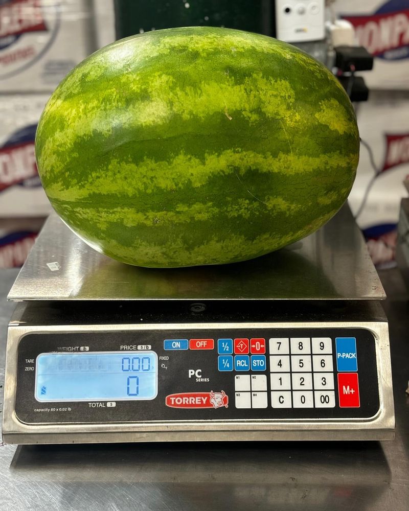 Check the Weight