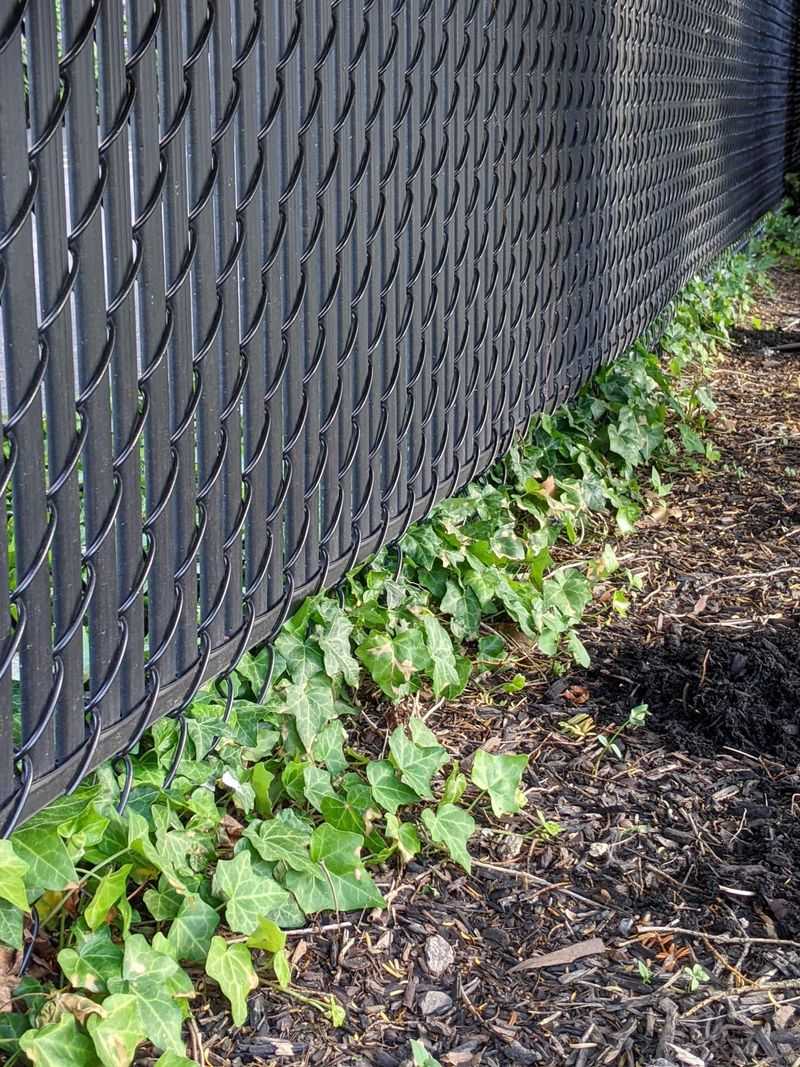 Install Physical Barriers
